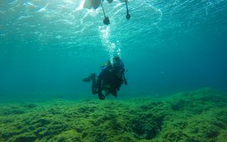 Scuba diving at El Hierro 2