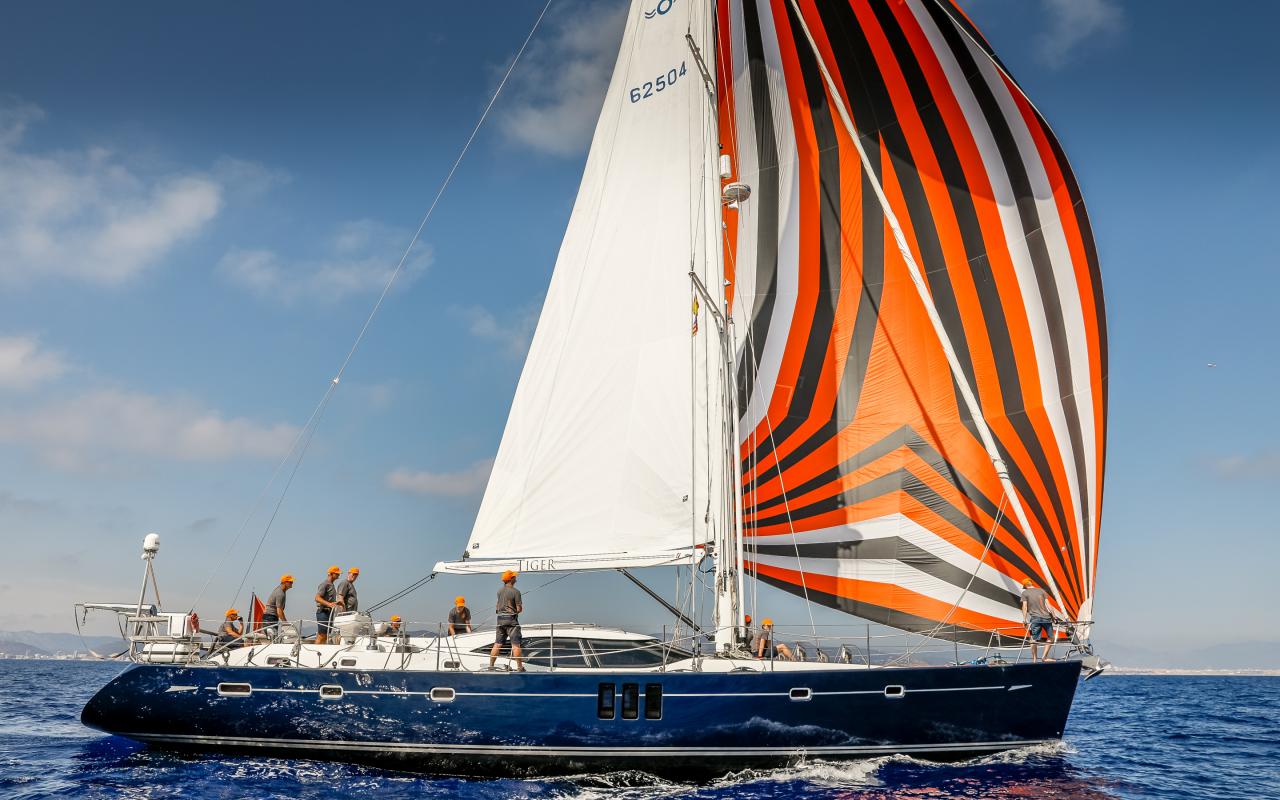 Oyster NM 191001 11292