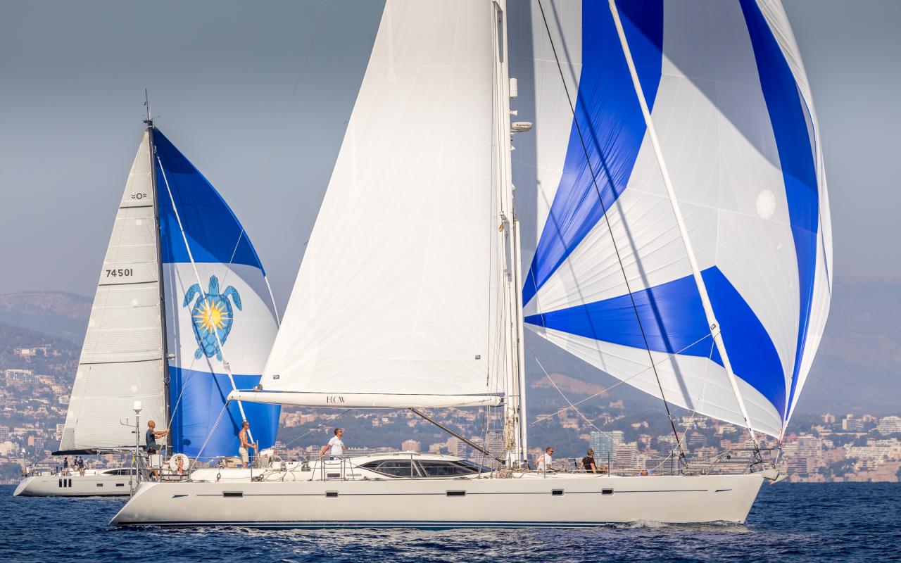 Oyster NM 191001 11739