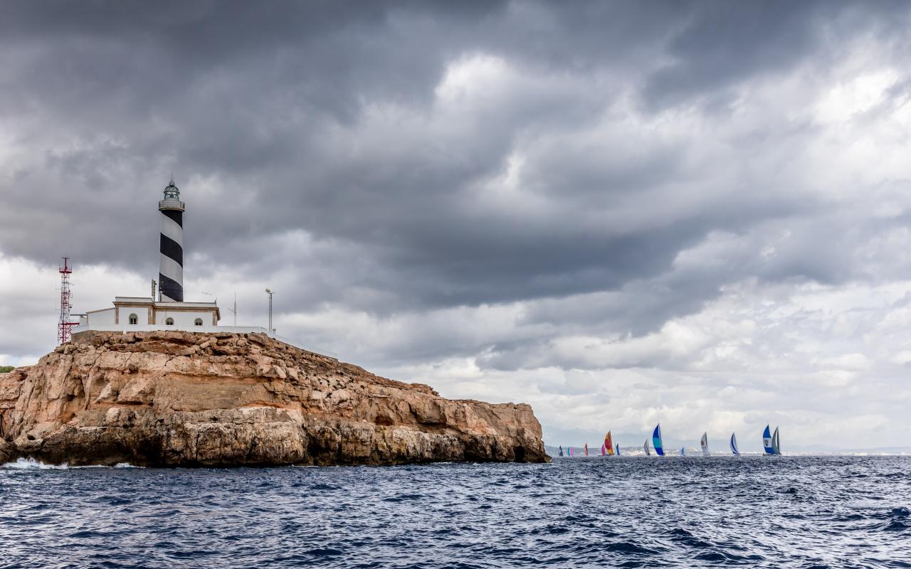 Oyster NM 191002 13791