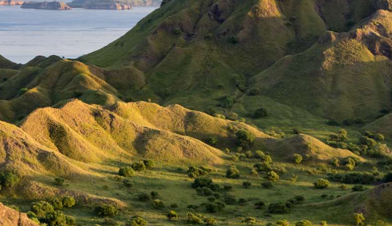Komodo, Indonesia