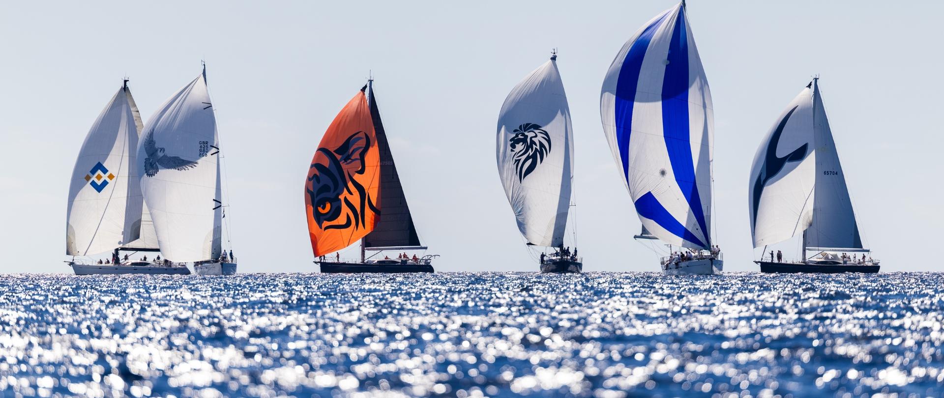 Dolphin Sails and Oyster Partnership