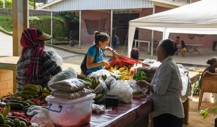 Local food market Tonga
