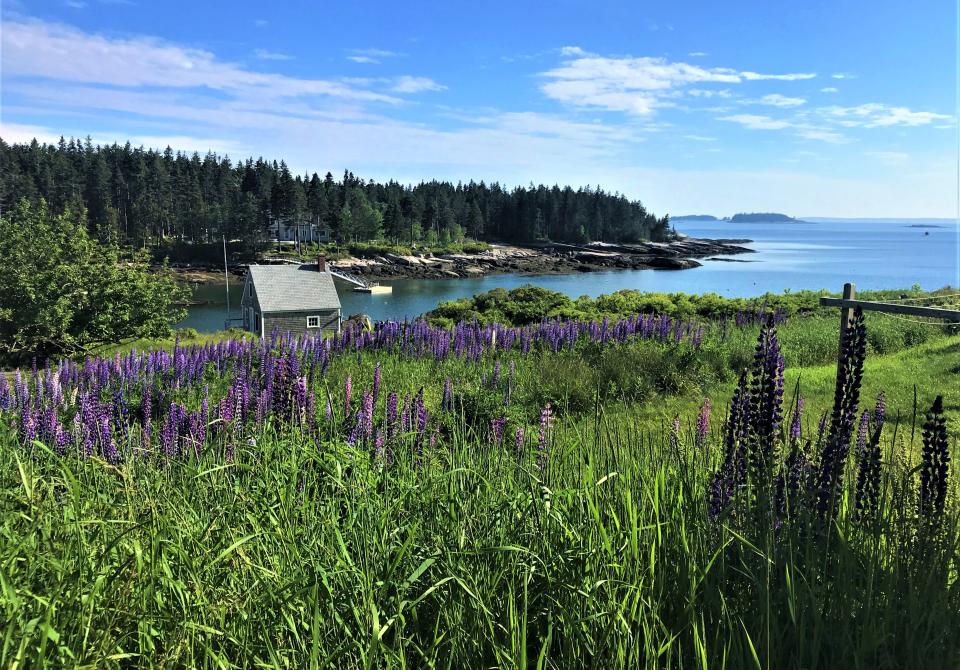 Oyster Yachts News Maine Insider Sailing Guide Tips | Maine Coast