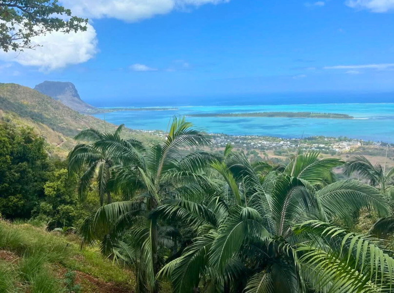 Mauritius and Reunion