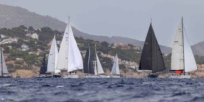 Oyster Palma Regatta 2025 2 v2