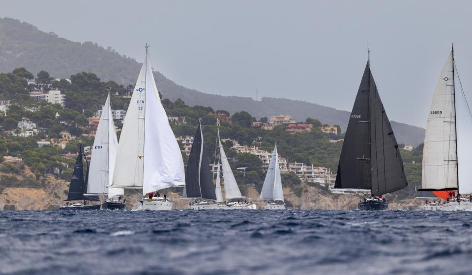Oyster Palma Regatta 2025 2 v2