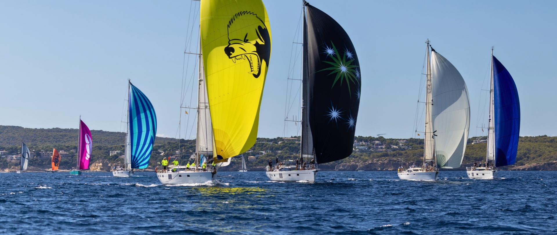 Oyster Palma Regatta 2027 h 1
