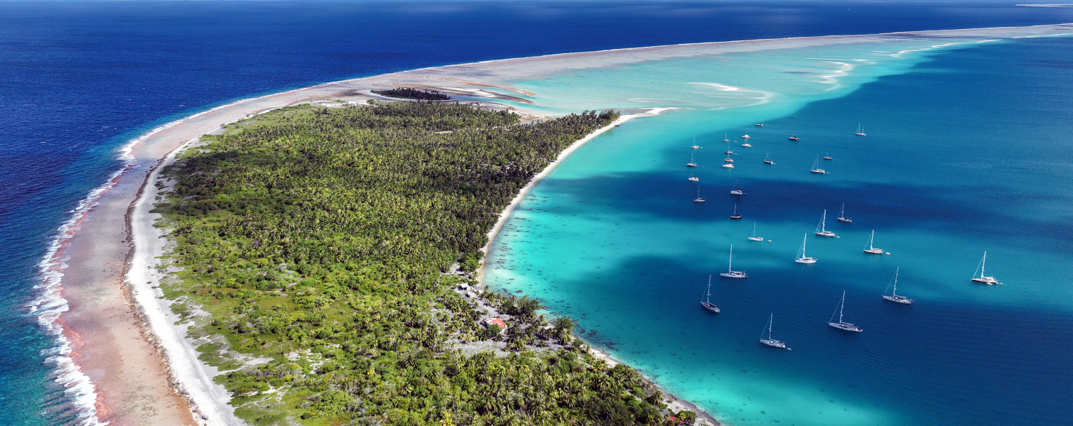 Oyster World Rally 2024 25 Promo 2