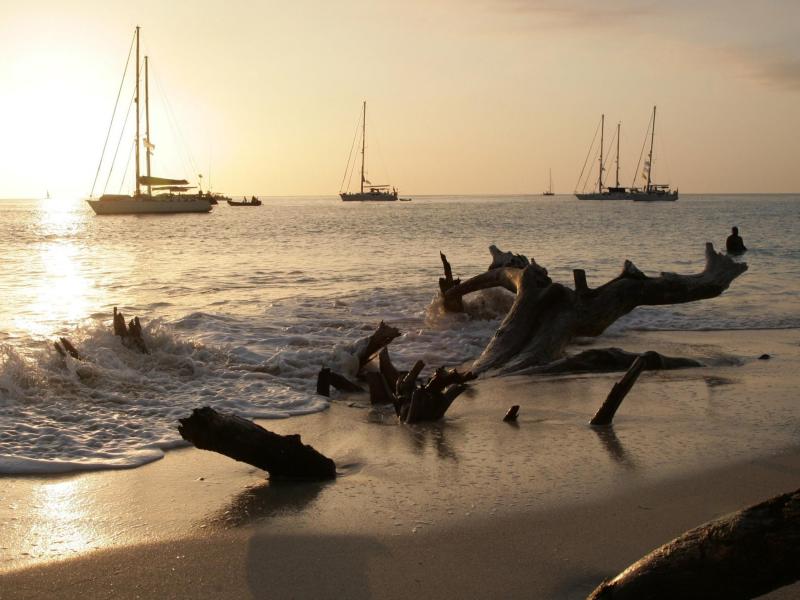 Oyster World Rally 2017-19