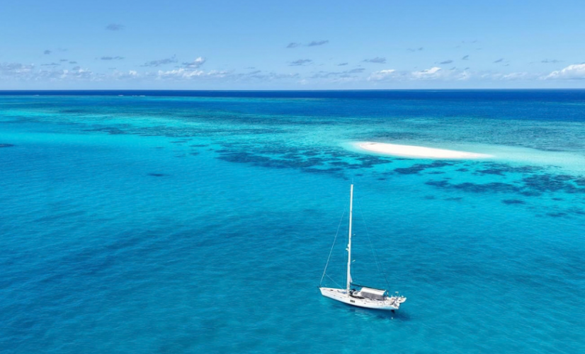 Oyster in Great Barrier Reef Australia