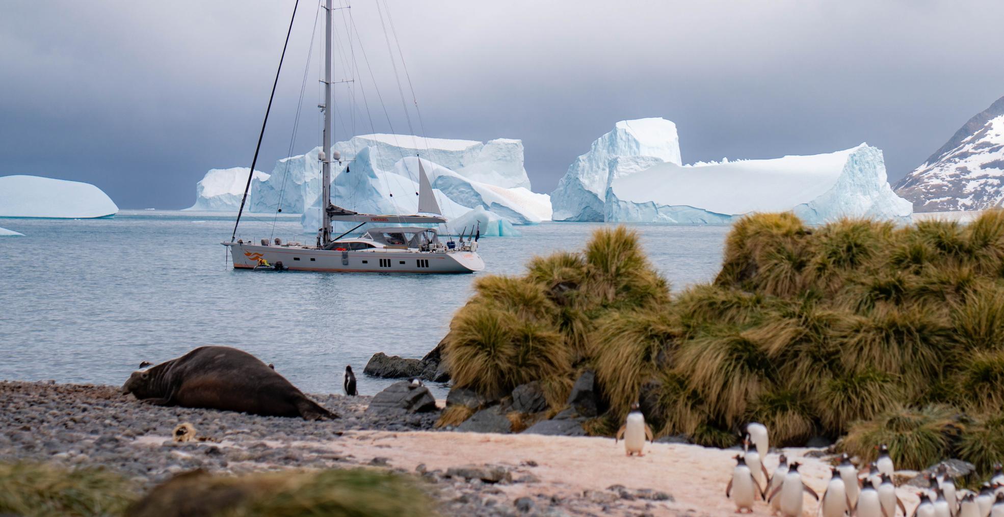 Oyster the world is yours