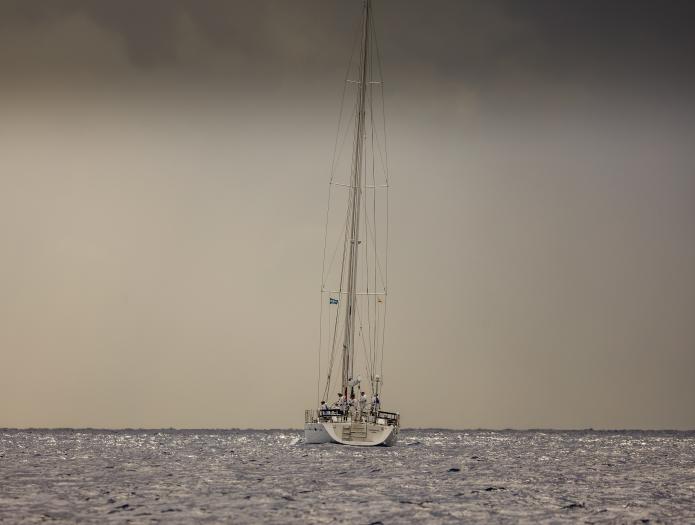 Oyster NM 191002 12312