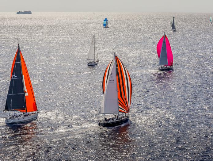 Oyster NM 191003 16036