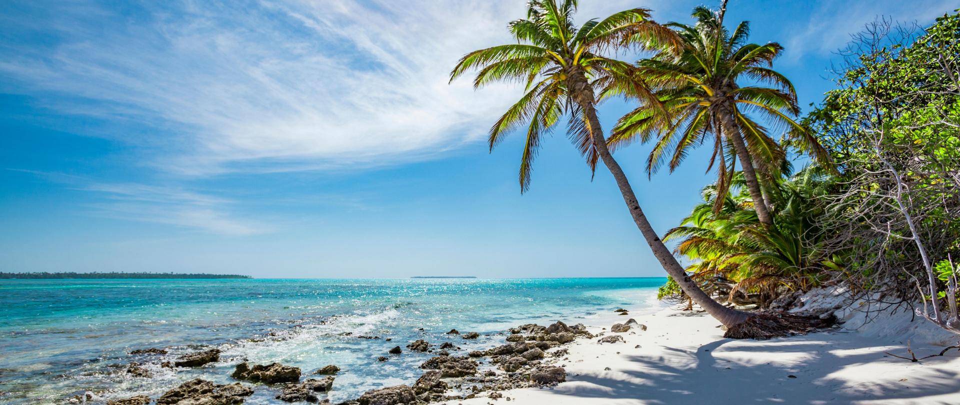 Palm trees on Cocos Keeling stunning beach