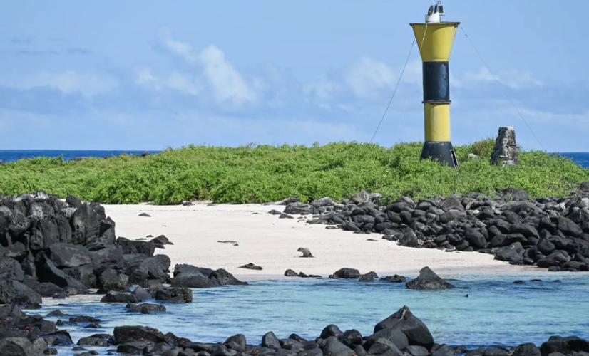 Rally Live News Ticker 2