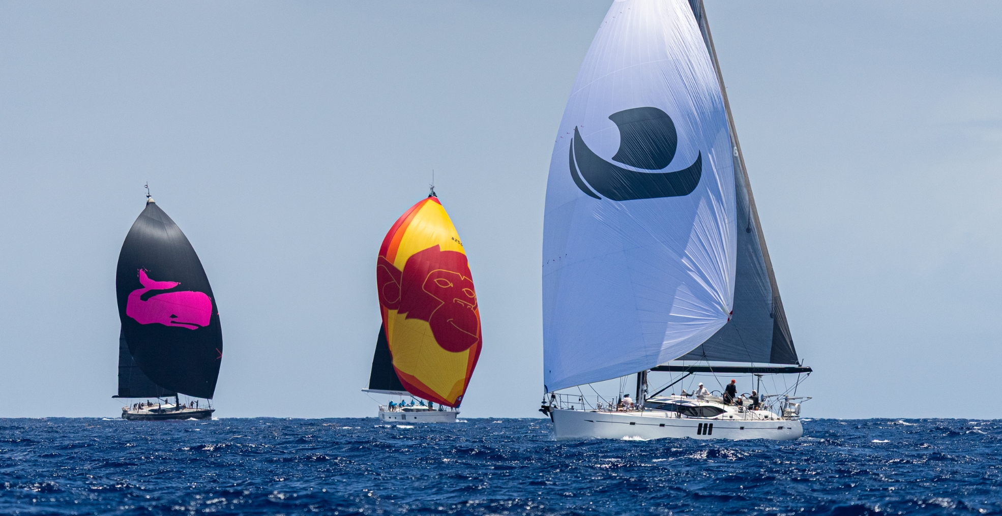 Replay the Oyster Antigua Regatta 2025