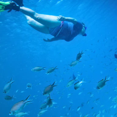 San Blas Snorkelling