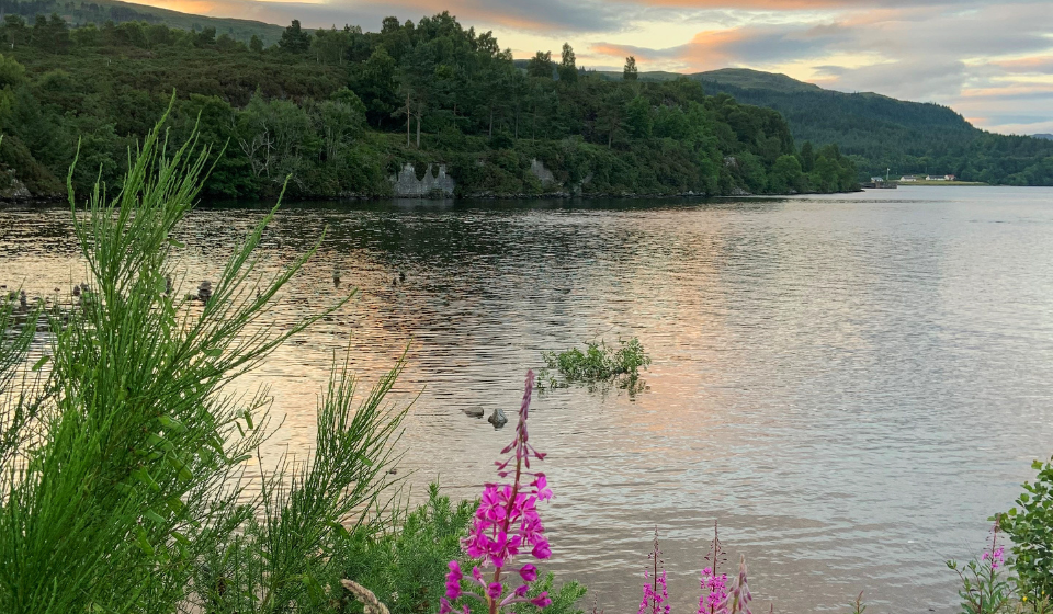 South West end of Loch Ness