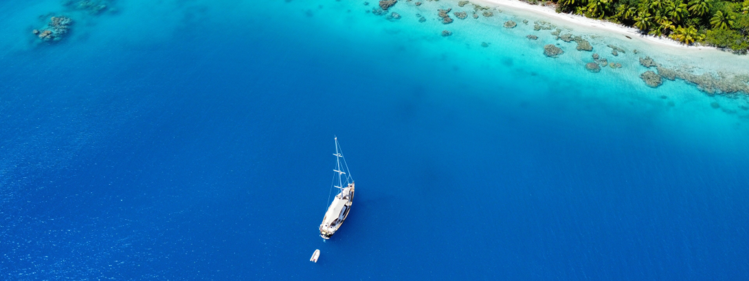 OYSTER EXPLORERS CLUB