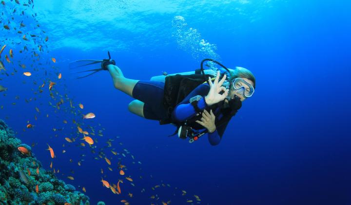lady scuba diving