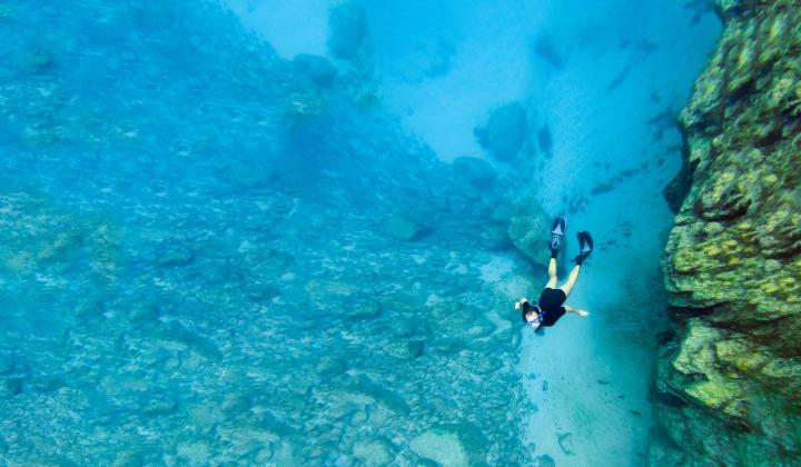 2 Diving in Fernando de Noronha