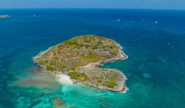 230404 OysterRally22 23 MOYA 0094