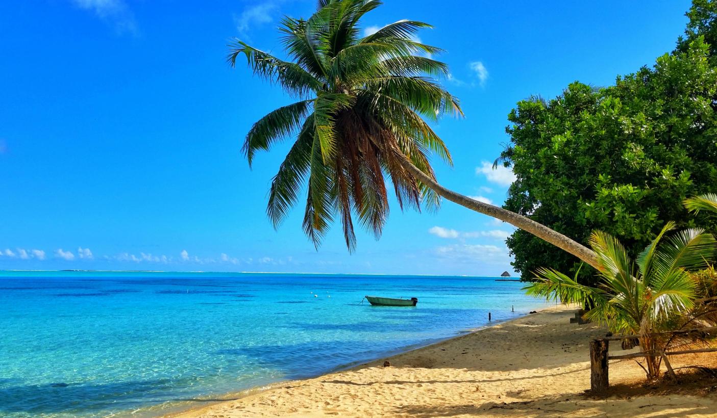 42. Sandy back and coconut tree in Tonga