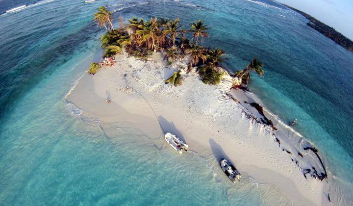 4. Dessert island with sandy beach and palm trees