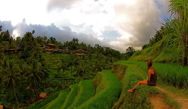 4. Scenic hillside rice paddies lush greenery