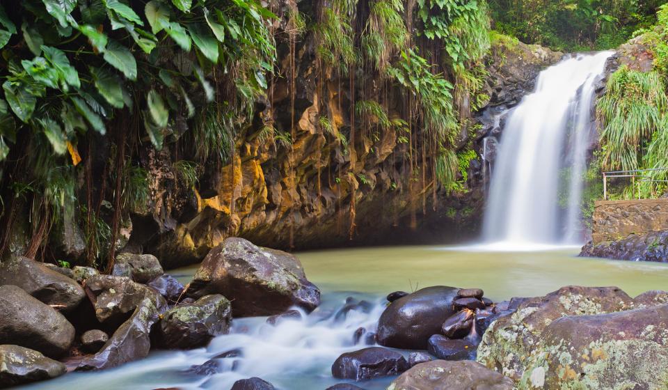 5 Annandale waterfall and forest park