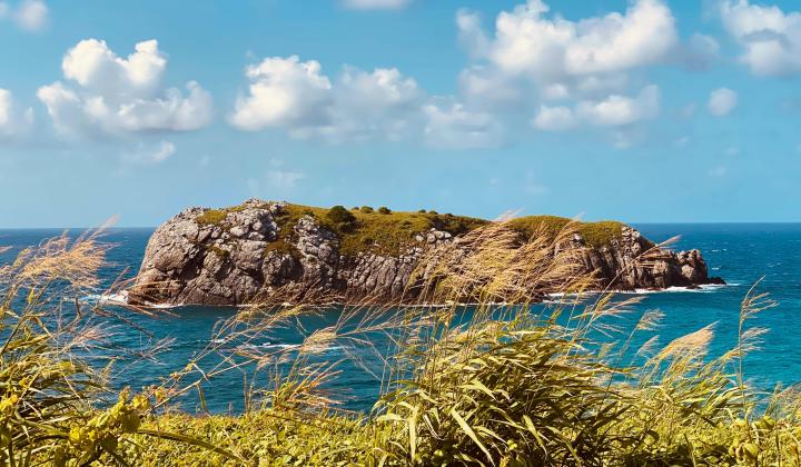 5 Off the coastline of Fernando de Noranha