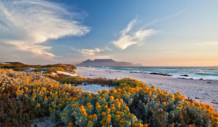 5 Scenic view of Table Mountain