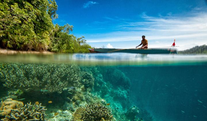 5 v2. tropical fish and coral in Southern Indonesia 