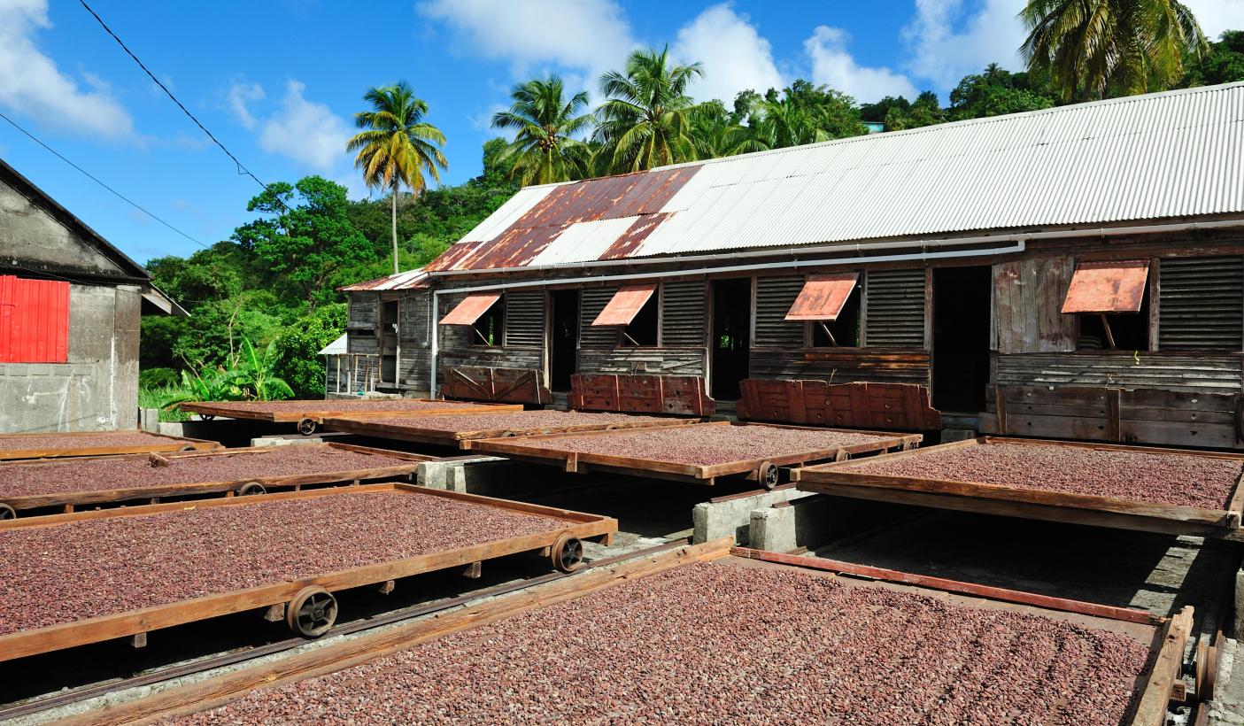 6 Douglaston Spice Estate