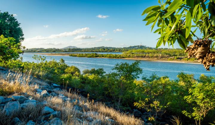 82. Pioneer River in North Queensland Australia