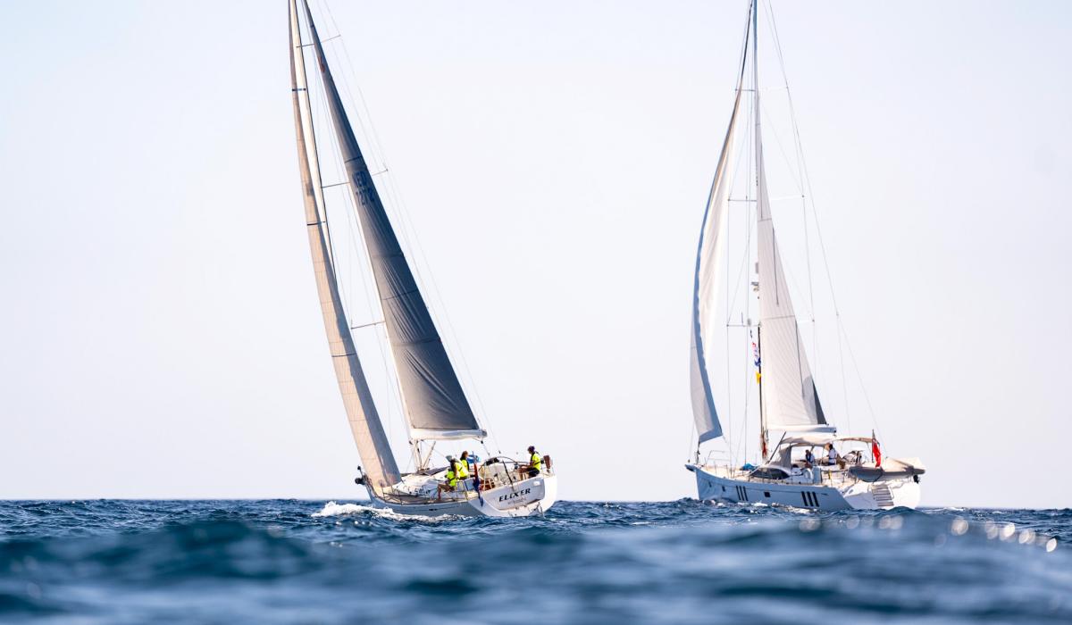 ARC Plus 2024 LP Start Elixer One Distraction