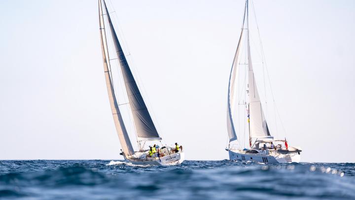 ARC Plus 2024 LP Start Elixer One Distraction