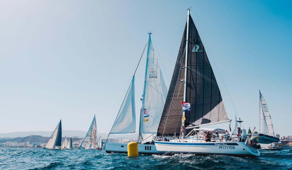 ARC Plus 2024 LP Start One Distraction Morgans Moon