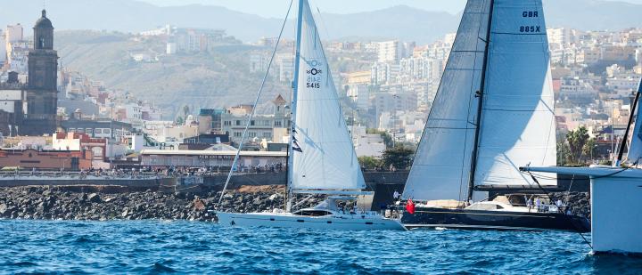 ARC 2023 Start Ostara Babiana JMR38666 JM 2