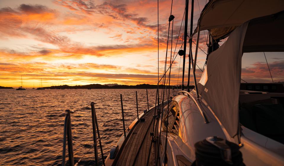 Archaeopteryx Fiji Sunset
