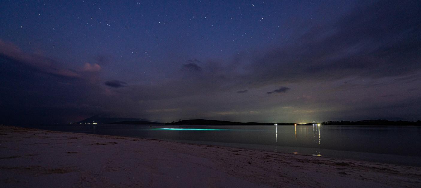 Beach at night Fiji islands starry sky