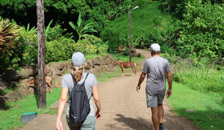 Exploring the Marquesas Islands