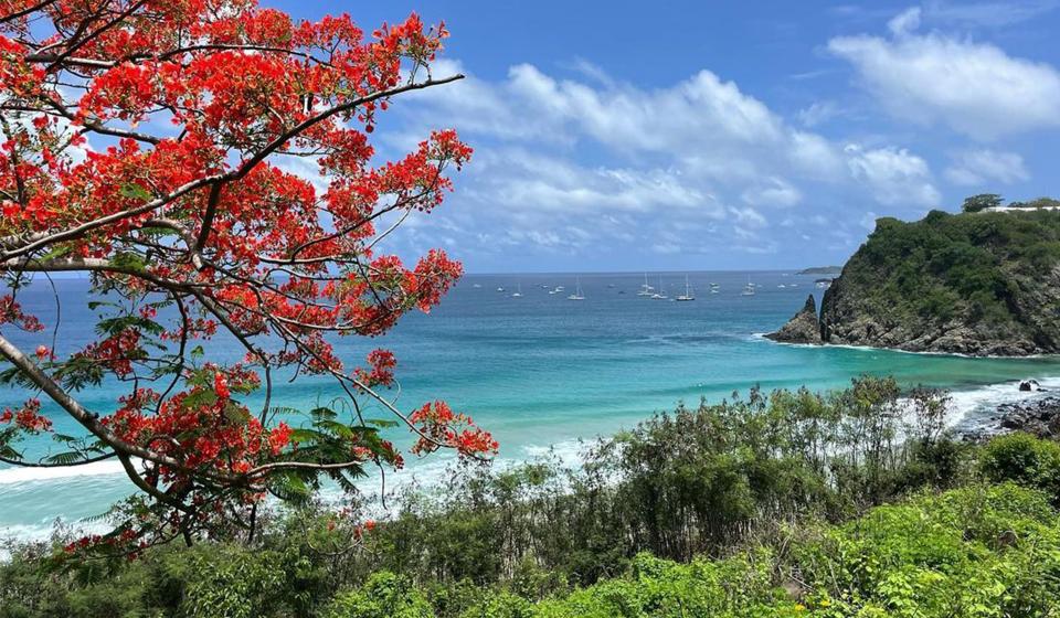 Fernando de Noronha yachts at anchor
