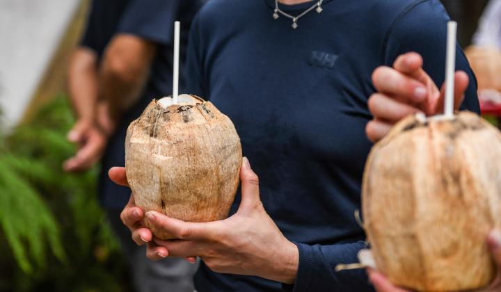 Fresh coconuts in Tahiti