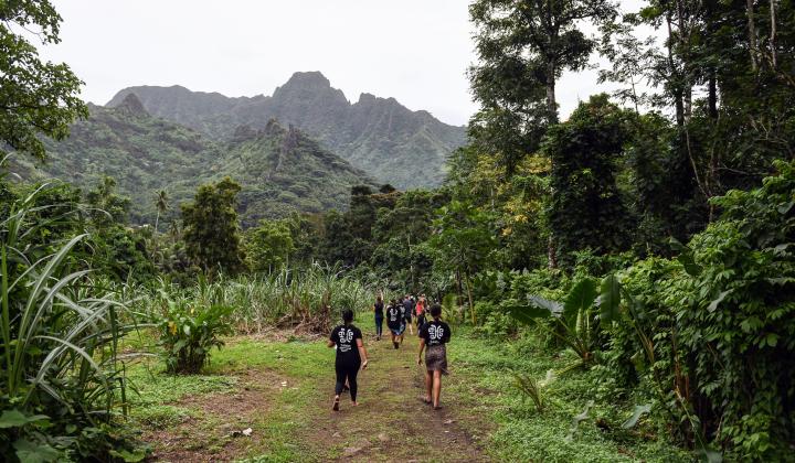 Hiking through mountains Moorea