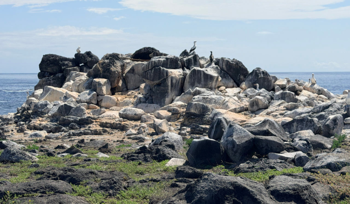 Landscape Galapagos