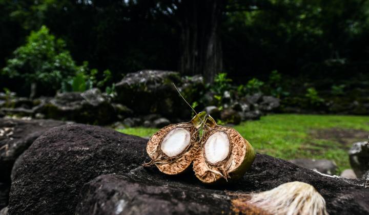 Local fruits Nuku Hiva