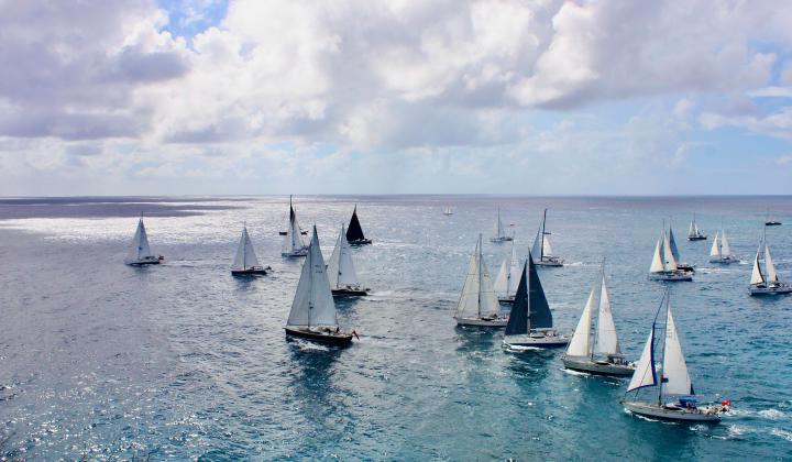 Luxury yachts sailing in Antigua Caribbean