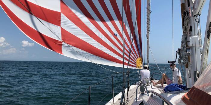 Oyster 54 Sailing Spinnaker 14